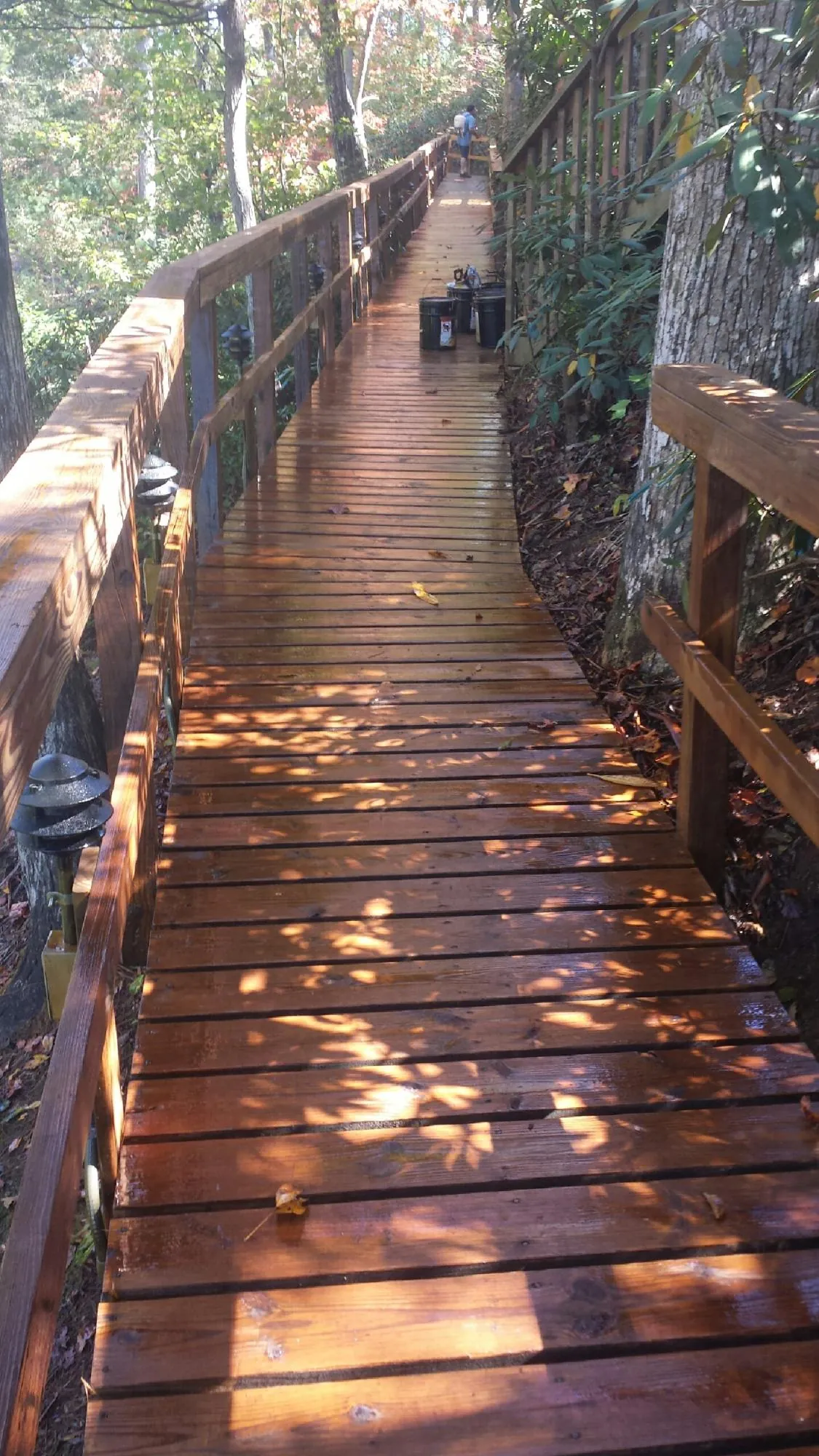 Freshly stained wood walkway winding through the woods in Comstock